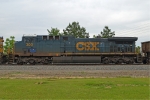 CSX 300